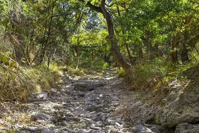 1151 Fawn Valley Dr, Canyon Lake, TX 78133 - Photo 29