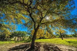 183 Teton Ln, Fredericksburg, TX 78624 - Photo 45