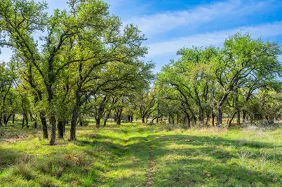 563 J B Rd., Harper, TX 78631 - Photo 25