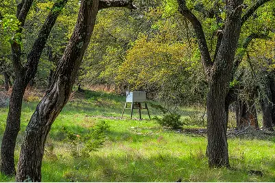 563 J B Rd., Harper, TX 78631 - Photo 23