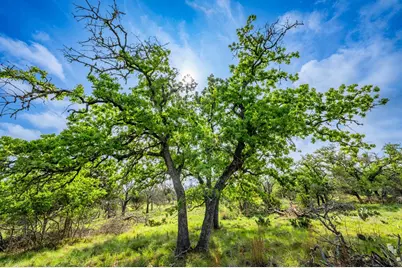 563 J B Rd., Harper, TX 78631 - Photo 33
