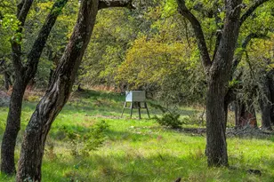 563 J B Rd, Harper, TX 78631 - Photo 23