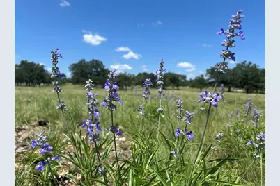 8812 Old Harper Rd, Fredericksburg, TX 78624 - Photo 7