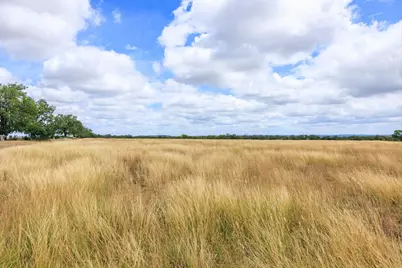 1556 Pfiester Rd, Fredericksburg, TX 78624 - Photo 59