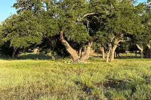171 Flowering Sage Ln, Fredericksburg, TX 78624 - Photo 45