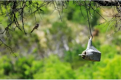 256 Persimmon Point, Mason, TX 76856 - Photo 43