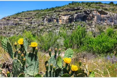 256 Persimmon Point, Mason, TX 76856 - Photo 41
