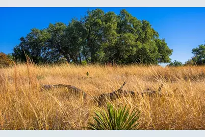 1357 Legacy Oaks Dr, Harper, TX 78631 - Photo 1