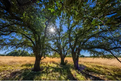 18 Legacy Oaks Dr, Harper, TX 78631 - Photo 5