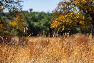 1357 Legacy Oaks Dr, Harper, TX 78631 - Photo 13