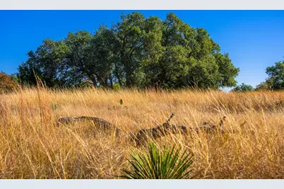 1357 Legacy Oaks Dr, Harper, TX 78631 - Photo 5