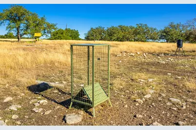 1357 Legacy Oaks Dr, Harper, TX 78631 - Photo 19