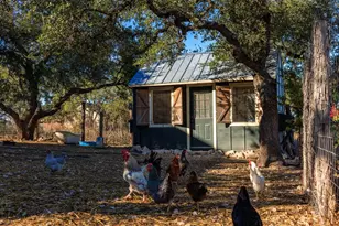 162 Flowering Sage Ln, Fredericksburg, TX 78624 - Photo 49