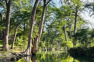 5322 N State Hwy 16, Bandera, TX 78003 - Photo 25