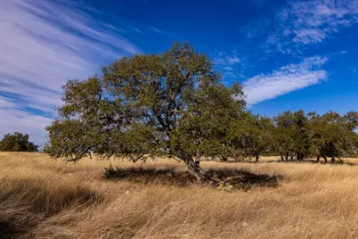 Lot 15 Legacy Oaks Dr, Harper, TX 78631 - Photo 29