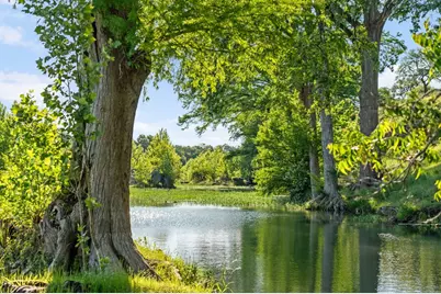 4711 Wayside Dr, Wimberley, TX 78676 - Photo 21