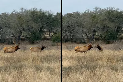 444 &amp; 742 Klein Rd, Stonewall, TX 78671 - Photo 55