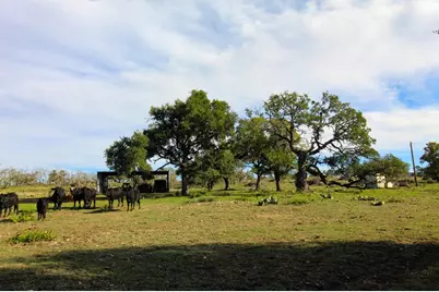 963 Josephine Rd, Harper, TX 78631 - Photo 7