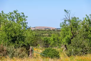 3610 Welgehausen Rd, Fredericksburg, TX 78624 - Photo 31