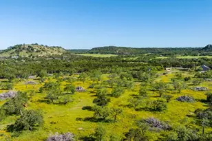 3610 Welgehausen Rd, Fredericksburg, TX 78624 - Photo 21