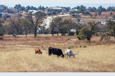 1783 Axis Circle, Fredericksburg, TX 78624 - Photo 41