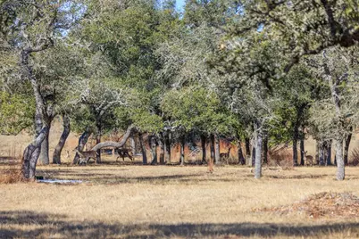 1783 Axis Circle, Fredericksburg, TX 78624 - Photo 39