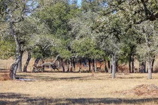 1783 Axis Cir, Fredericksburg, TX 78624 - Photo 39