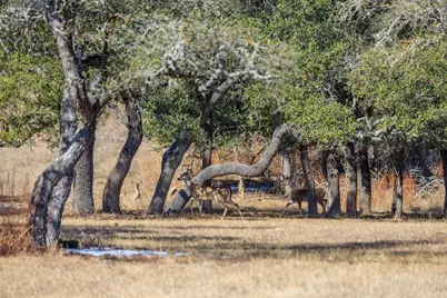 1783 Axis Circle, Fredericksburg, TX 78624 - Photo 33