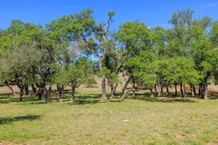 1783 Axis Cir, Fredericksburg, TX 78624 - Photo 41