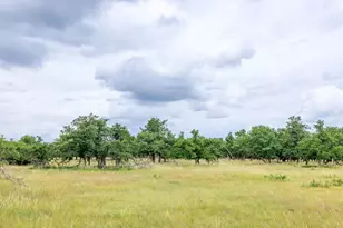 11453 N US Hwy 87, Fredericksburg, TX 78624 - Photo 41