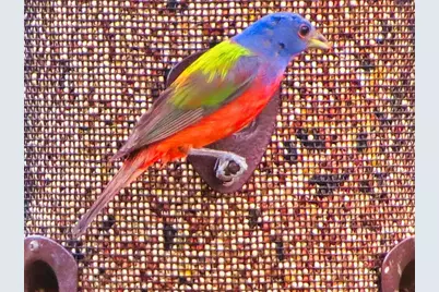 0 Settemeyer Rd, Mason, TX 76856 - Photo 43