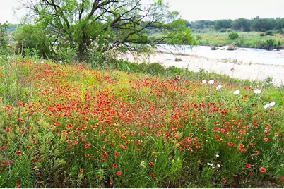 0 Settemeyer Rd, Mason, TX 76856 - Photo 47