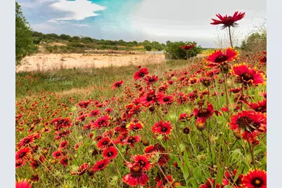 0 Settemeyer Rd, Mason, TX 76856 - Photo 5