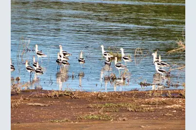 0 Settemeyer Rd, Mason, TX 76856 - Photo 29