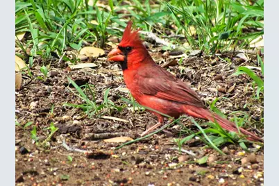 0 Settemeyer Rd, Mason, TX 76856 - Photo 21
