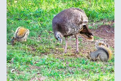 0 Settemeyer Rd, Mason, TX 76856 - Photo 45