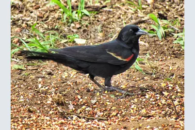 0 Settemeyer Rd, Mason, TX 76856 - Photo 31