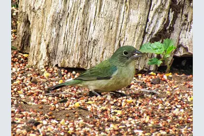 0 Settemeyer Rd, Mason, TX 76856 - Photo 49