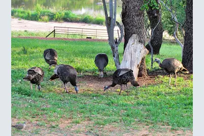 0 Settemeyer Rd, Mason, TX 76856 - Photo 33