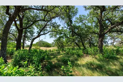 0000 Bridle Path Way, Fredericksburg, TX 78624 - Photo 15