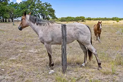 140 Lantana, Johnson City, TX 78636 - Photo 23