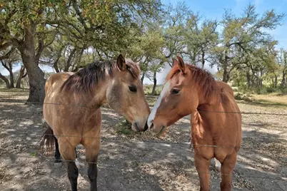 1655 Walnut Springs Rd, Johnson City, TX 78636 - Photo 35