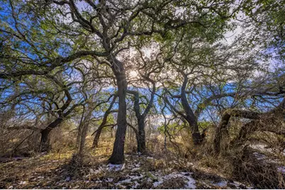 10001 N Hwy 87, Mason, TX 75856 - Photo 11