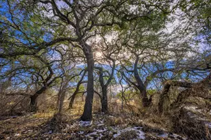 10001 N Hwy 87, Mason, TX 75856 - Photo 11