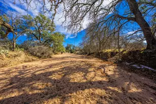 10001 N Hwy 87, Mason, TX 75856 - Photo 3