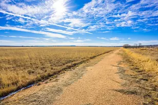 10001 N Hwy 87, Mason, TX 75856 - Photo 19