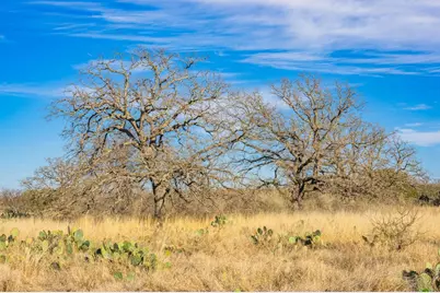 10001 N Hwy 87, Mason, TX 75856 - Photo 21
