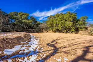 10001 N Hwy 87, Mason, TX 75856 - Photo 9