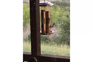 12516 Wire Rd, Leander, TX 78641 - Photo 37