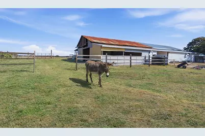 3764 Ranch Rd 1623, Blanco, TX 78606 - Photo 61